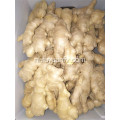 250 g gedroogde gember